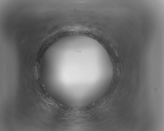 X0000073481493200608140802