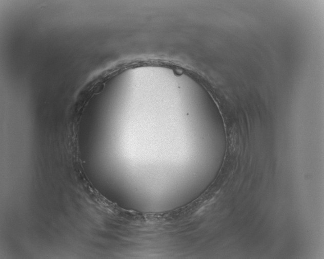 X0000073481494200608140802