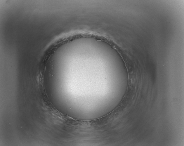 X0000073481495200608140802