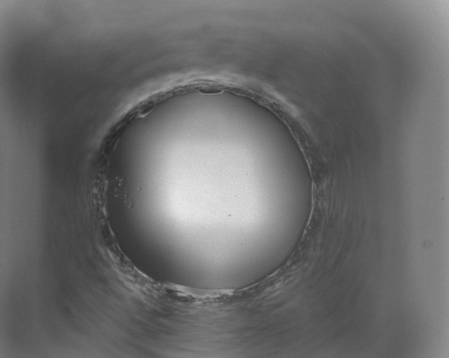 X0000073481496200608140802