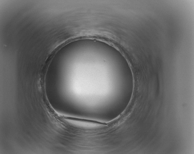 X0000073481497200608140802