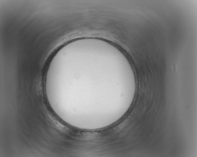 X0000073481498200608140802