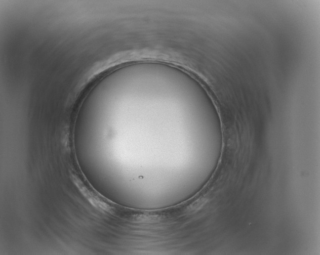 X0000073481499200608140802