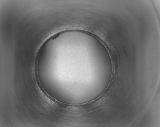 X0000073481500200608140802