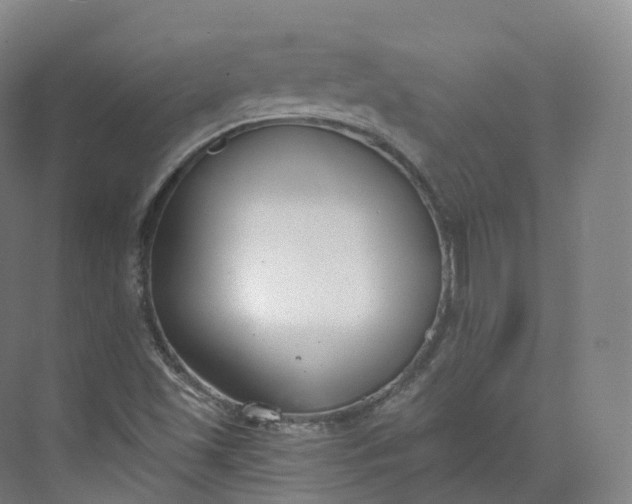 X0000073481501200608140802