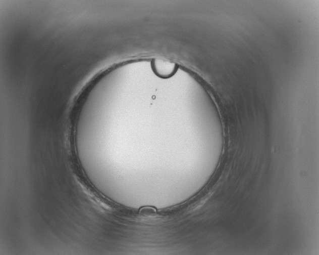 X0000073481502200608140802