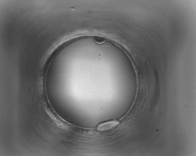 X0000073481503200608140802