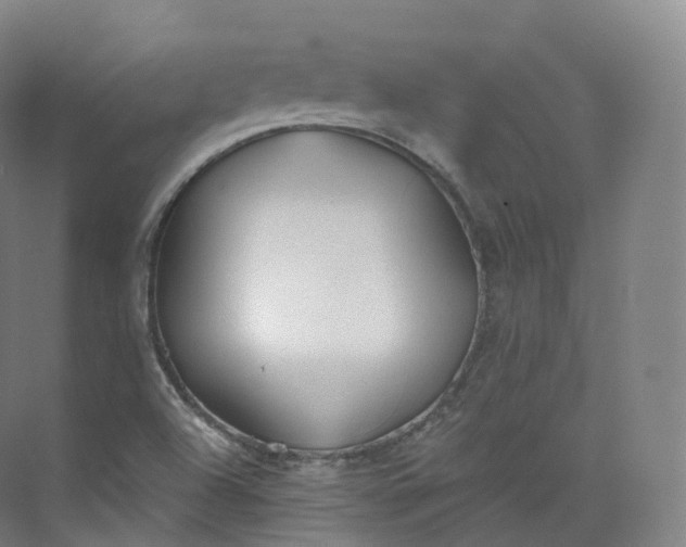 X0000073481504200608140803