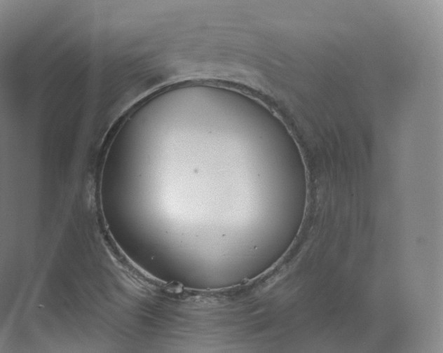 X0000073481505200608140803