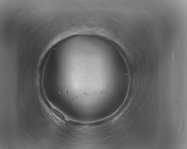 X0000073481506200608140803