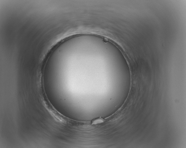 X0000073481507200608140803