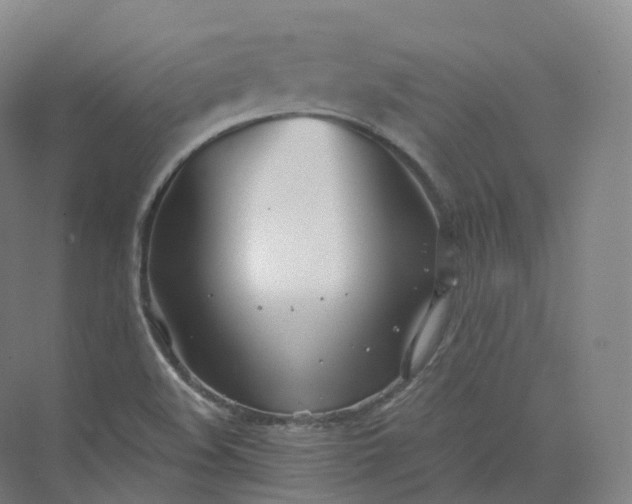 X0000073481508200608140803