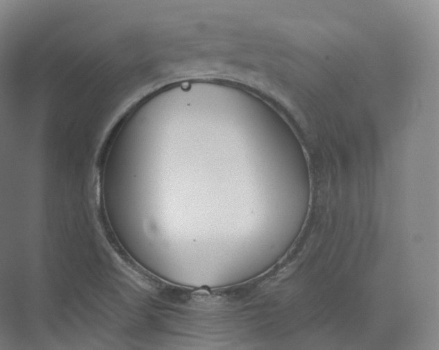 X0000073481509200608140803