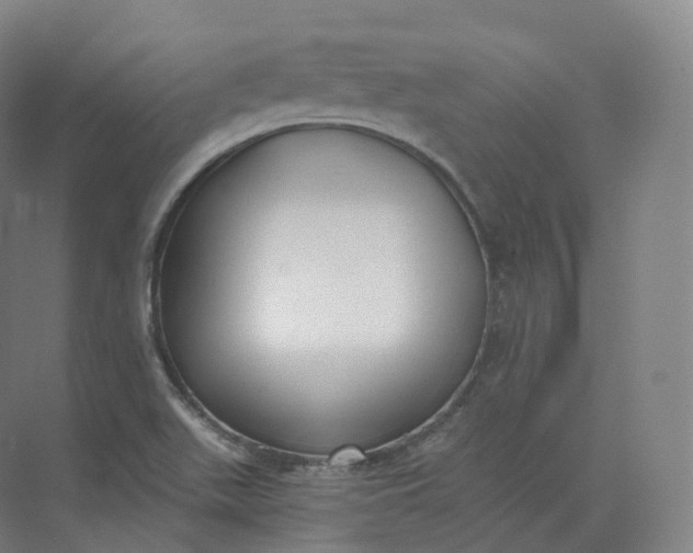 X0000073481511200608140803