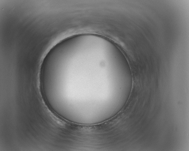 X0000073481512200608140803