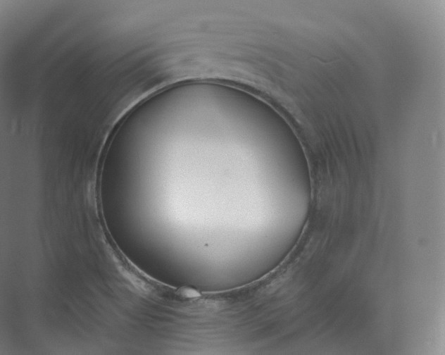 X0000073481513200608140803