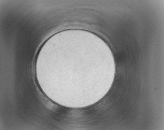 X0000073481514200608140803