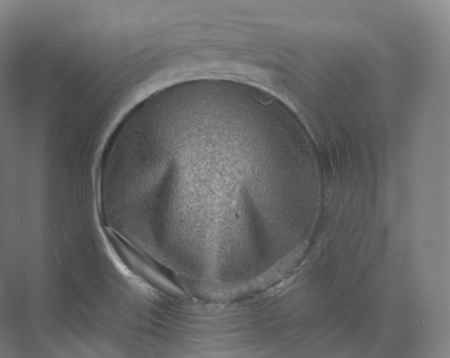 X0000073481515200608140803