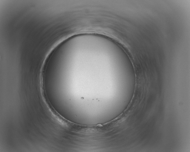 X0000073481517200608140803