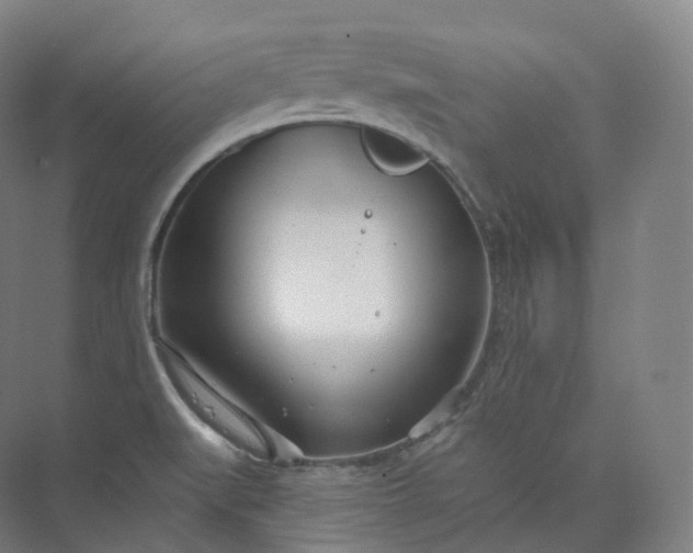 X0000073481519200608140803