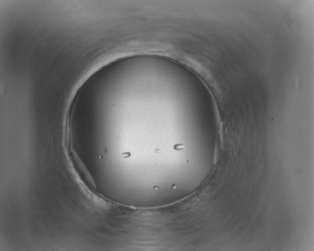 X0000073481520200608140803