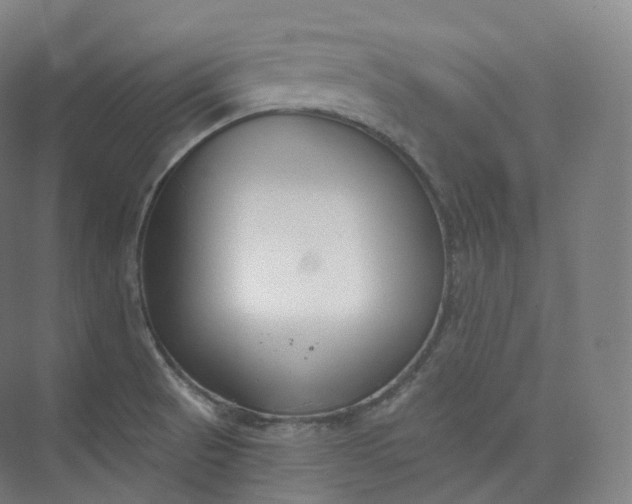 X0000073481521200608140803