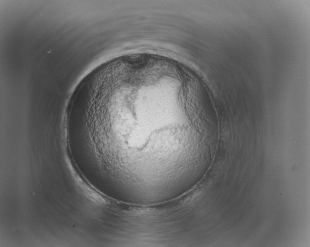 X0000073481522200608140803