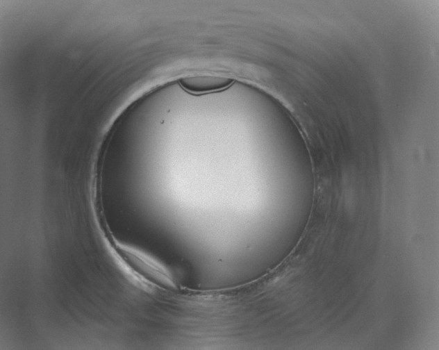 X0000073481523200608140803