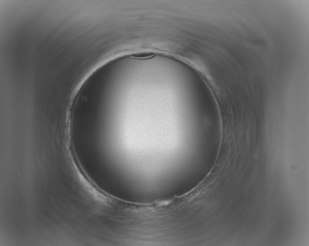 X0000073481524200608140803