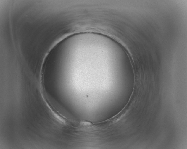 X0000073481525200608140803