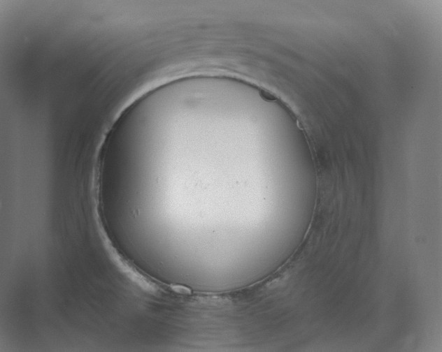 X0000073481526200608140803