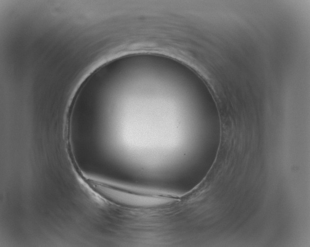 X0000073481527200608140803