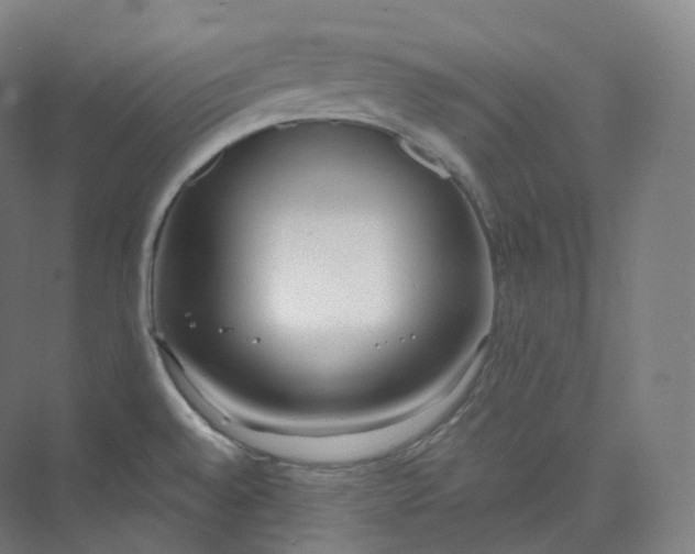 X0000073481528200608140803