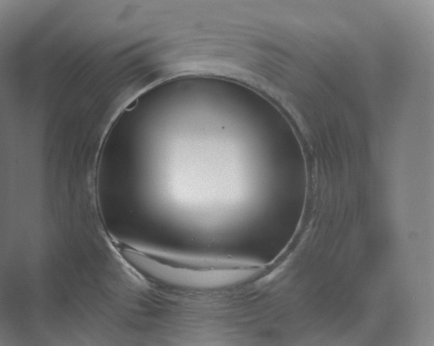 X0000073481529200608140803