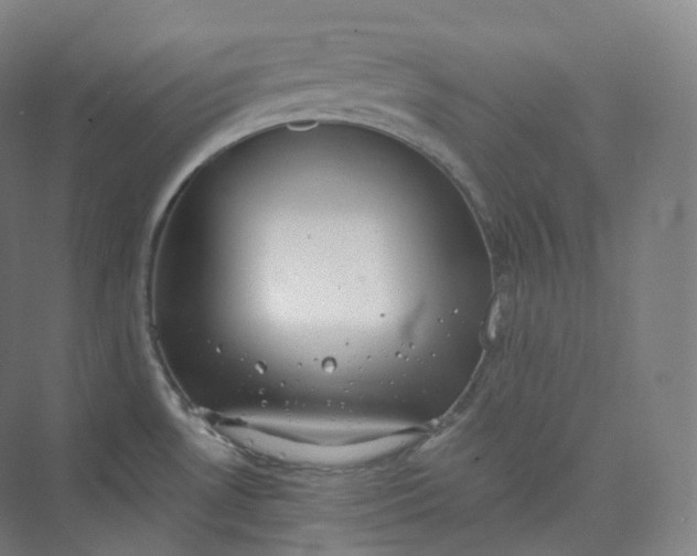 X0000073481530200608140803