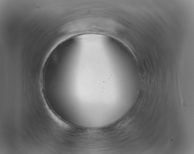 X0000073481531200608140803