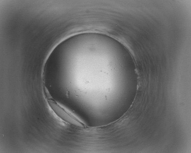 X0000073481532200608140803