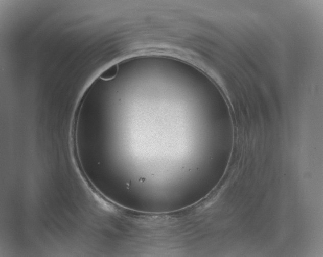 X0000073481533200608140803