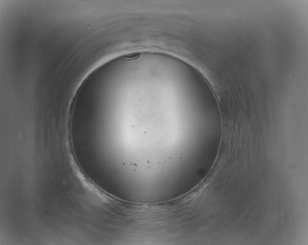 X0000073481534200608140803