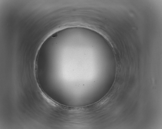 X0000073481535200608140803