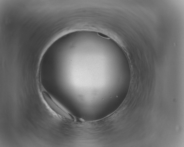 X0000073481536200608140803