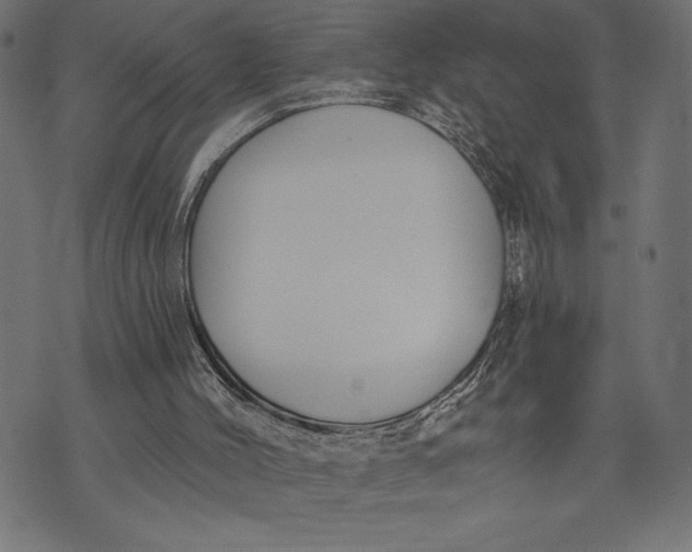 X0000073480004200608211636