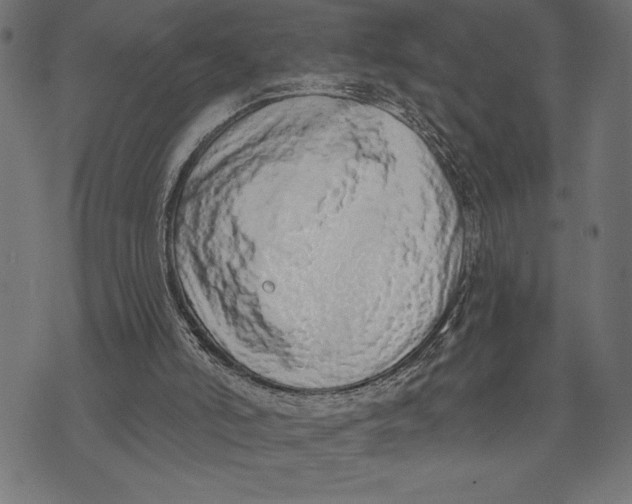 X0000073480006200608211636