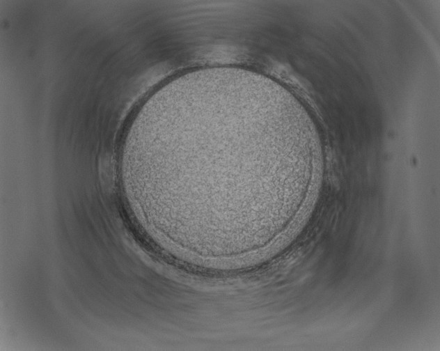 X0000073480012200608211636