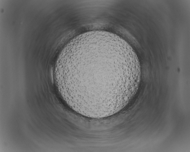 X0000073480022200608211636