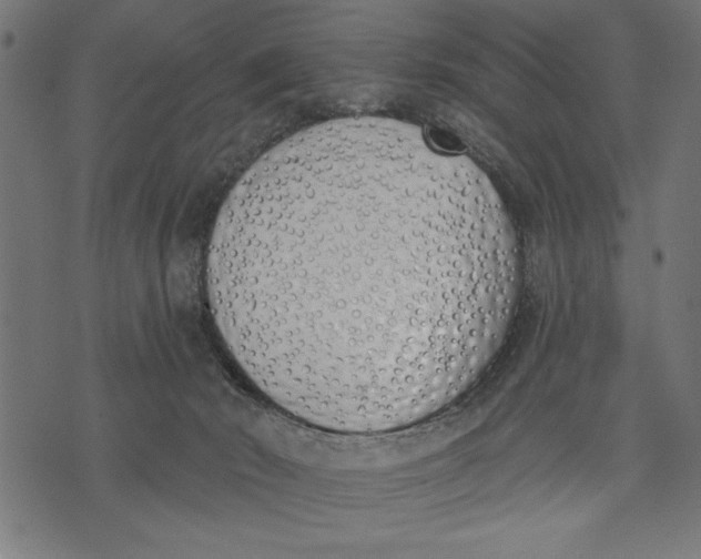 X0000073480030200608211636