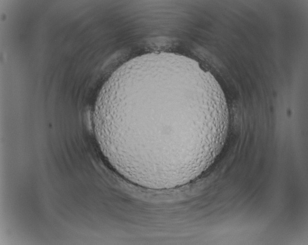 X0000073480042200608211636