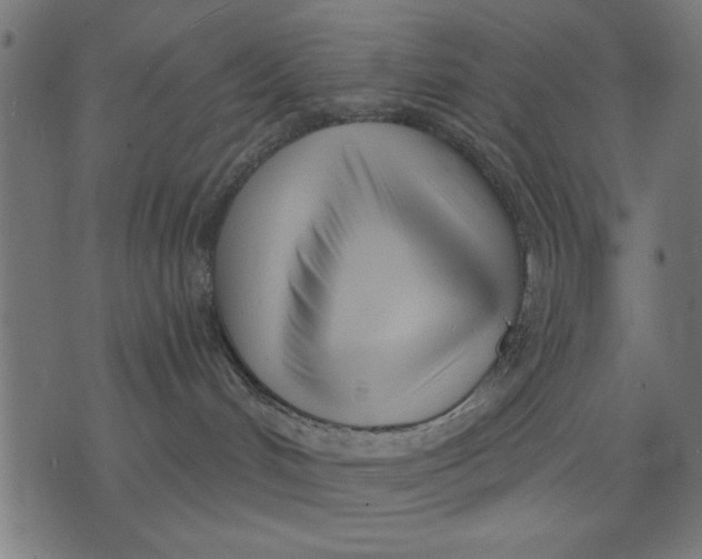 X0000073480048200608211636