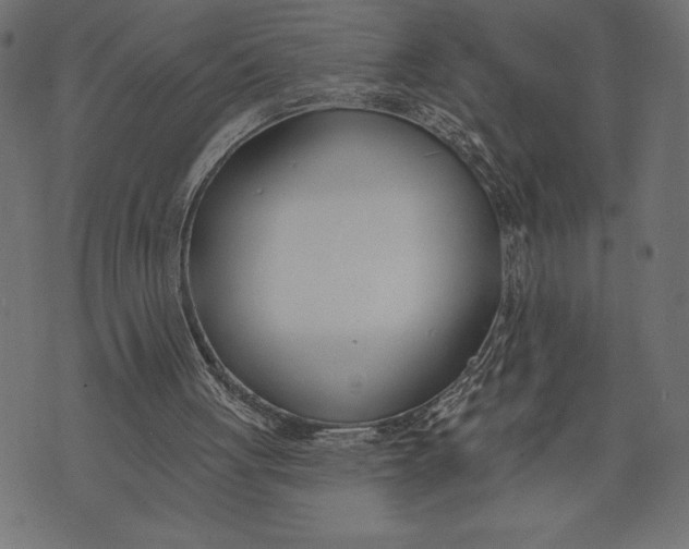 X0000073480051200608211635