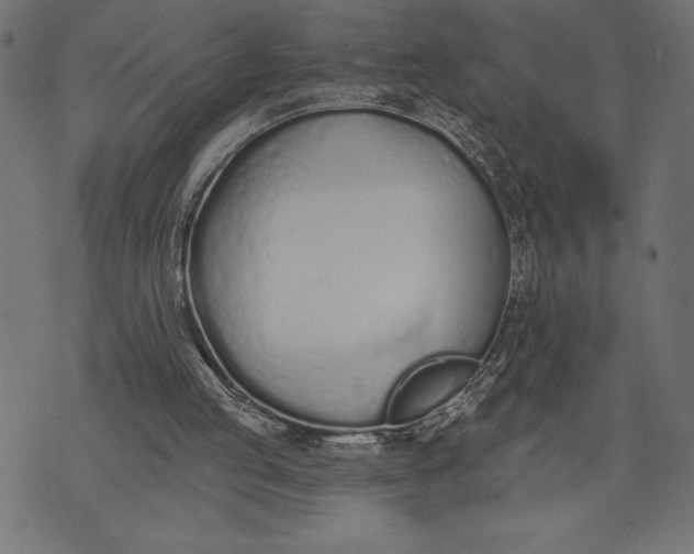 X0000073480053200608211635